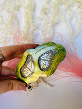 Load image into Gallery viewer, Full butterfly wing silicone mould
