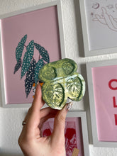 Load image into Gallery viewer, Monstera (cheese plant) earring silicone mould