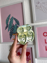 Load image into Gallery viewer, Monstera (cheese plant) earring silicone mould