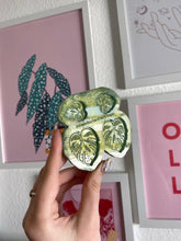 Load image into Gallery viewer, Monstera (cheese plant) earring silicone mould