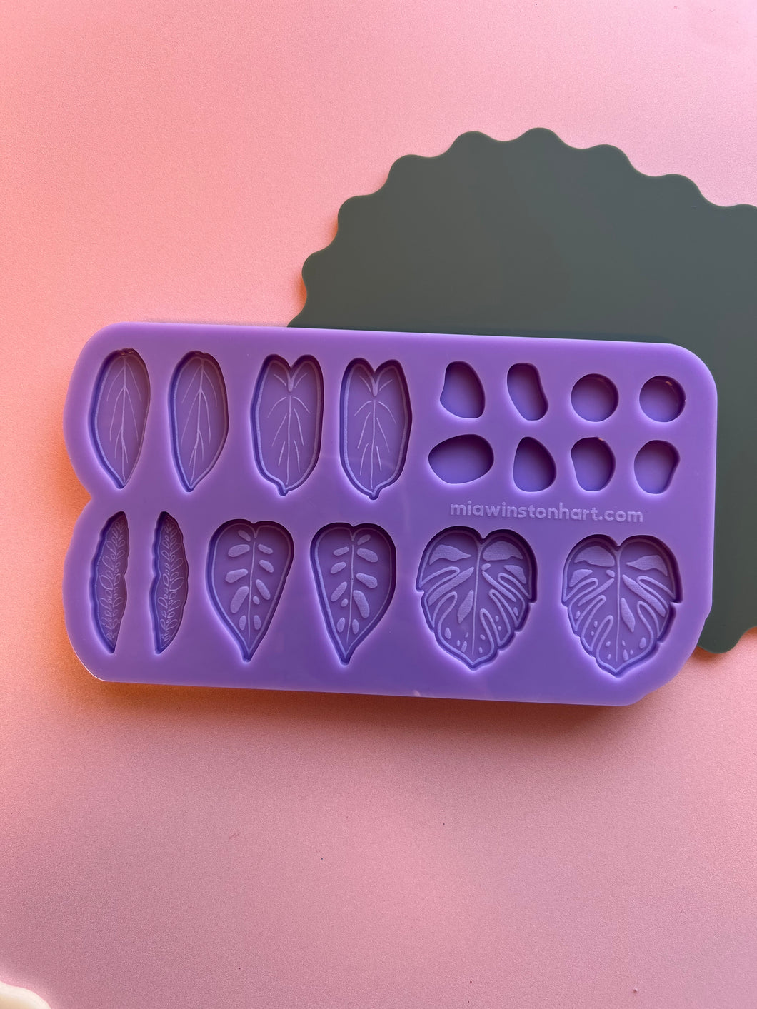 House plant botanical OG earring silicone mould