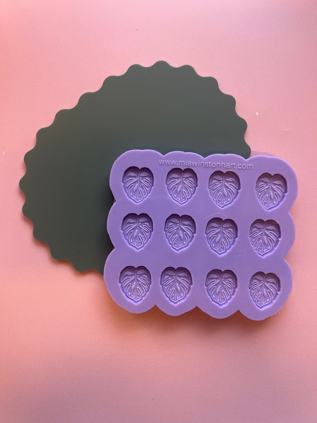 6 pair mini cheese plant monstera silicone mould