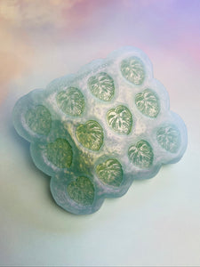 6 pair mini cheese plant monstera silicone mould