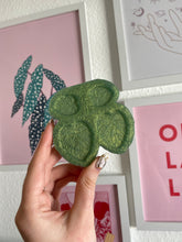 Load image into Gallery viewer, Monstera (cheese plant) earring silicone mould
